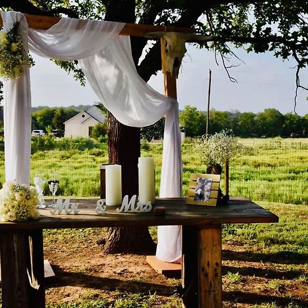 Beautiful Farmhouse W/ Pool On 6 Acres Ranch Aubrey Zewnętrze zdjęcie